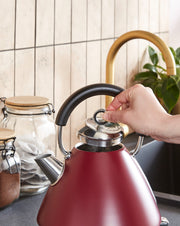 Morphy Richards Accents 1.5L Pyramid Kettle in Rhubarb Limited Edition 1020517