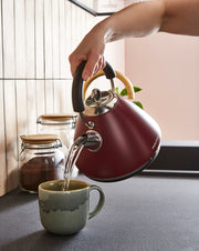 Morphy Richards Accents 1.5L Pyramid Kettle in Rhubarb Limited Edition 1020514