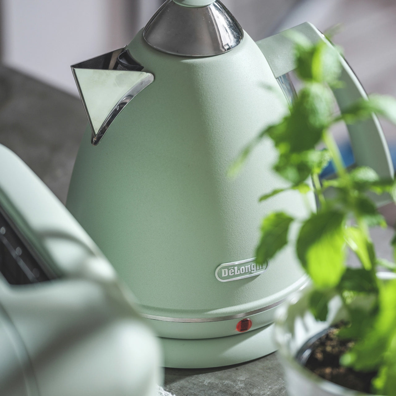 De'Longhi Argento Flora Green 1.7L Electric Kettle KBX3016.GR